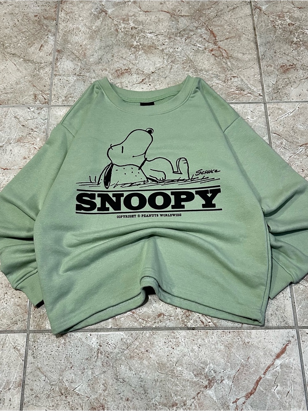 Peanuts Snoopy Sage Green Crewneck Small